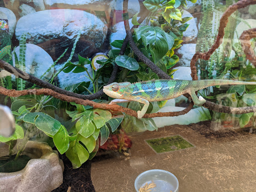 Pet Supply Store «Petco Animal Supplies», reviews and photos, 244 Pioneer Trail, Chaska, MN 55318, USA