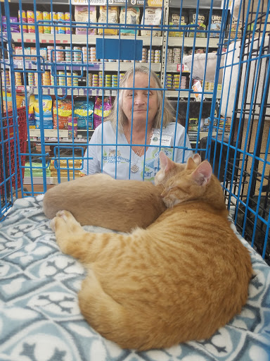 Pet Supply Store «Pet Supermarket», reviews and photos, 2585 N Atlantic Ave, Daytona Beach, FL 32118, USA