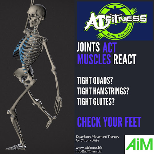 Comments and reviews of Adfitness Body Mechanic: Movement Therapist Forest of Dean