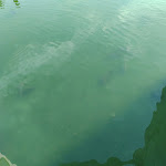 Photo n°1 de l'avis de Alfredo.u fait le 28/08/2022 à 13:39 sur le  Cais na Planície à Beja