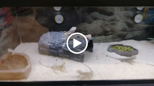 Pet Supply Store «Petco Animal Supplies», reviews and photos, 990 Brook Forest Ave, Shorewood, IL 60431, USA