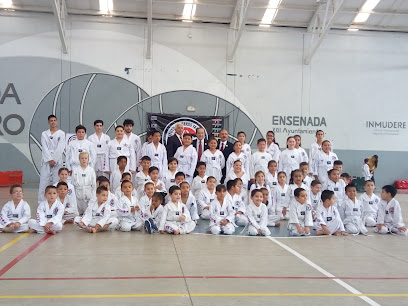 GIMNASIO DE USOS MúLTIPLES JOSé MARíA MORELOS Y PAVóN