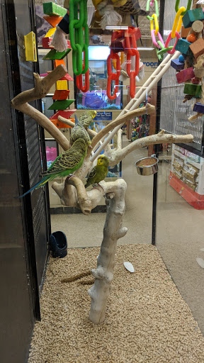 Pet Supply Store «PetSmart», reviews and photos, 2458 Central Park Ave, Yonkers, NY 10710, USA