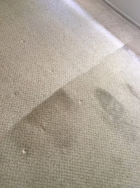 Eco-Bay Carpet & Upholstery Cleaning - Photo 2 - Car repair in San Jose, CA, San Jose