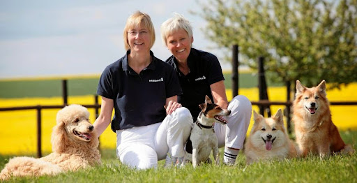 Veterinarians Dr. Becker u. Dr. Hornkamp unter Lonnig, Rheinland-Pfalz