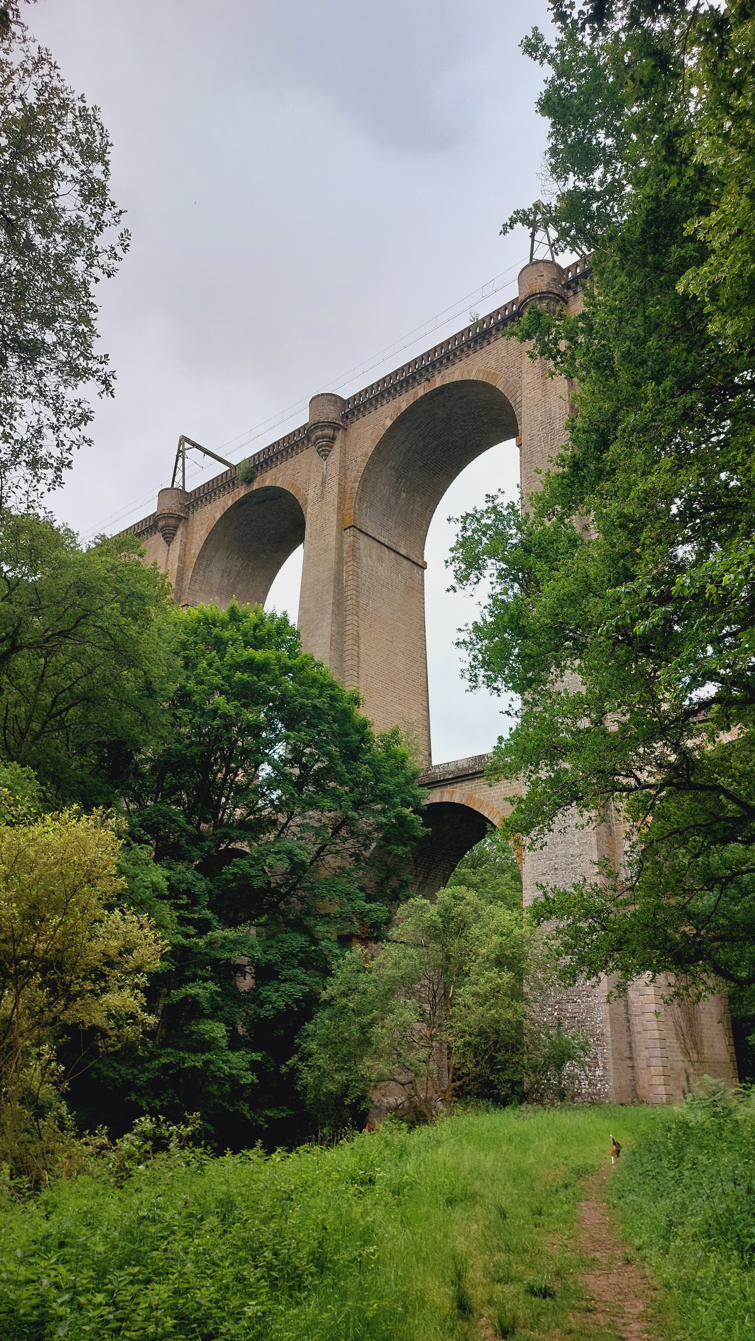 Photo n° 2 de l'avis de Nadège.i fait le 26/05/2022 à 15:56