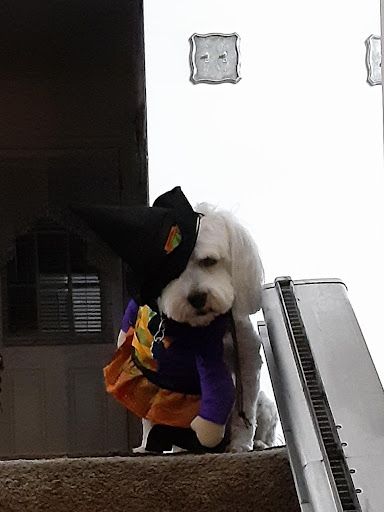 Sports Complex «Northwest Lanes», reviews and photos, 1765 Happy Valley Dr, Fairfield, OH 45014, USA