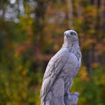 Photo n°5 de l'avis de Vitaliy.a fait le 28/10/2019 à 03:33 sur le  Hotel am See à Eschenbach