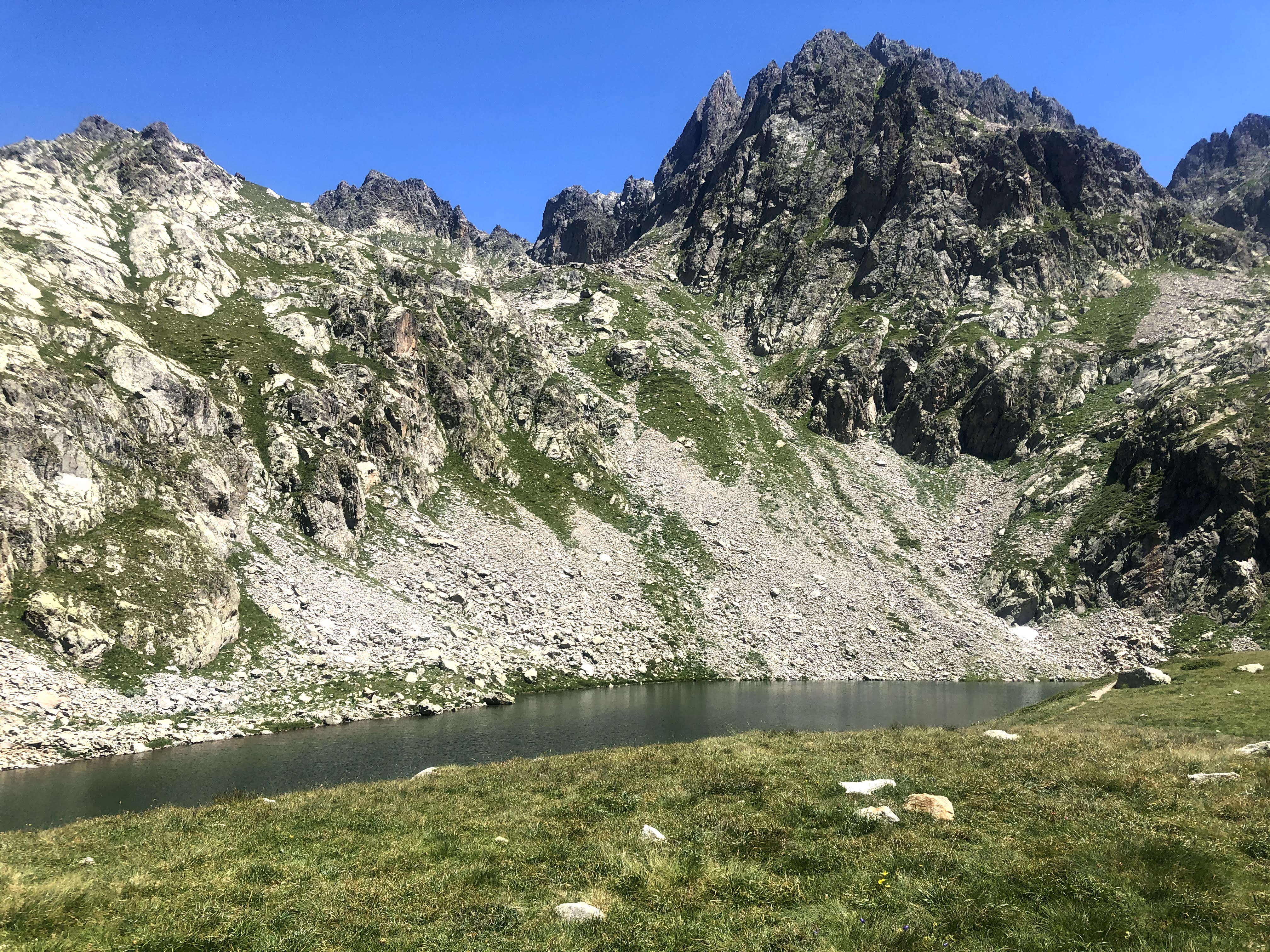 Photo n° 5 de l'avis de Virgile. fait le 28/07/2020 à 18:10