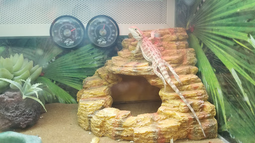 Pet Supply Store «PetSmart», reviews and photos, 263 Midway Blvd, Elyria, OH 44035, USA