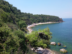 Foto von Burgazada Dusler Sahili, Beach and Camping Site mit sehr sauber Sauberkeitsgrad
