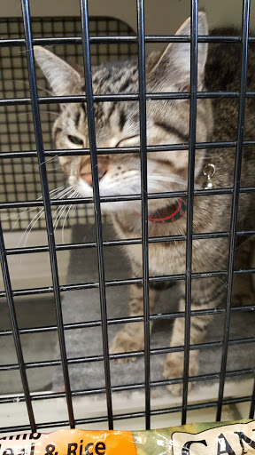 Pet Supply Store «Petco Animal Supplies», reviews and photos, 5453 N Bend Rd, Cincinnati, OH 45247, USA