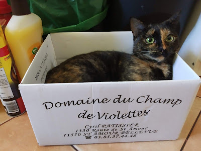Patissier Cyril-Nathalie à Saint-Amour-Bellevue