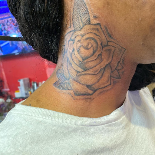 Explore boston terrier tattoo ideas, creative tattoo ideas in Lexington, available at LexInk Tattoo