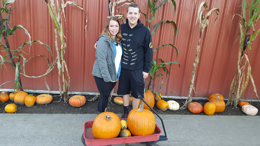 Pumpkin Patch «Rutledge Corn Maze LLC», reviews and photos, 302 93rd Ave SE, Olympia, WA 98501, USA