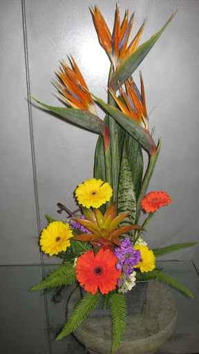 Florist «Best Wishes Floral», reviews and photos, 689 Winnetka Ave N, Golden Valley, MN 55427, USA