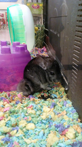 Pet Supply Store «PetSmart», reviews and photos, 5241 Frederica St, Owensboro, KY 42301, USA