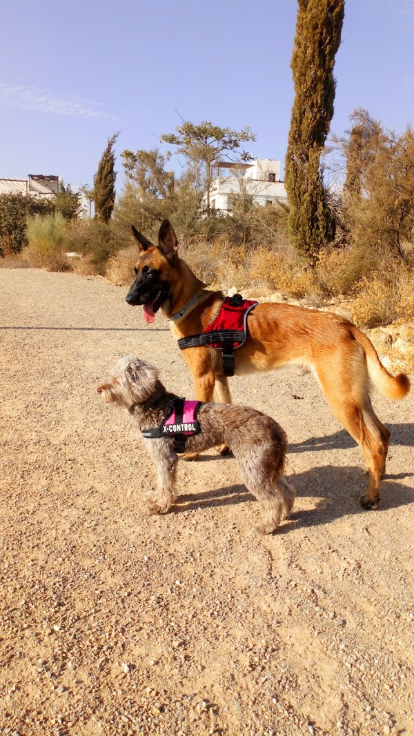 Clínica Veterinaria Albeitar