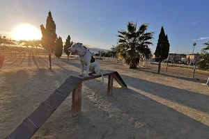 canino de San Blas Park image