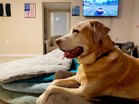 Pet Sitter Frederick - Photo 1 - Car repair in , Hagerstown
