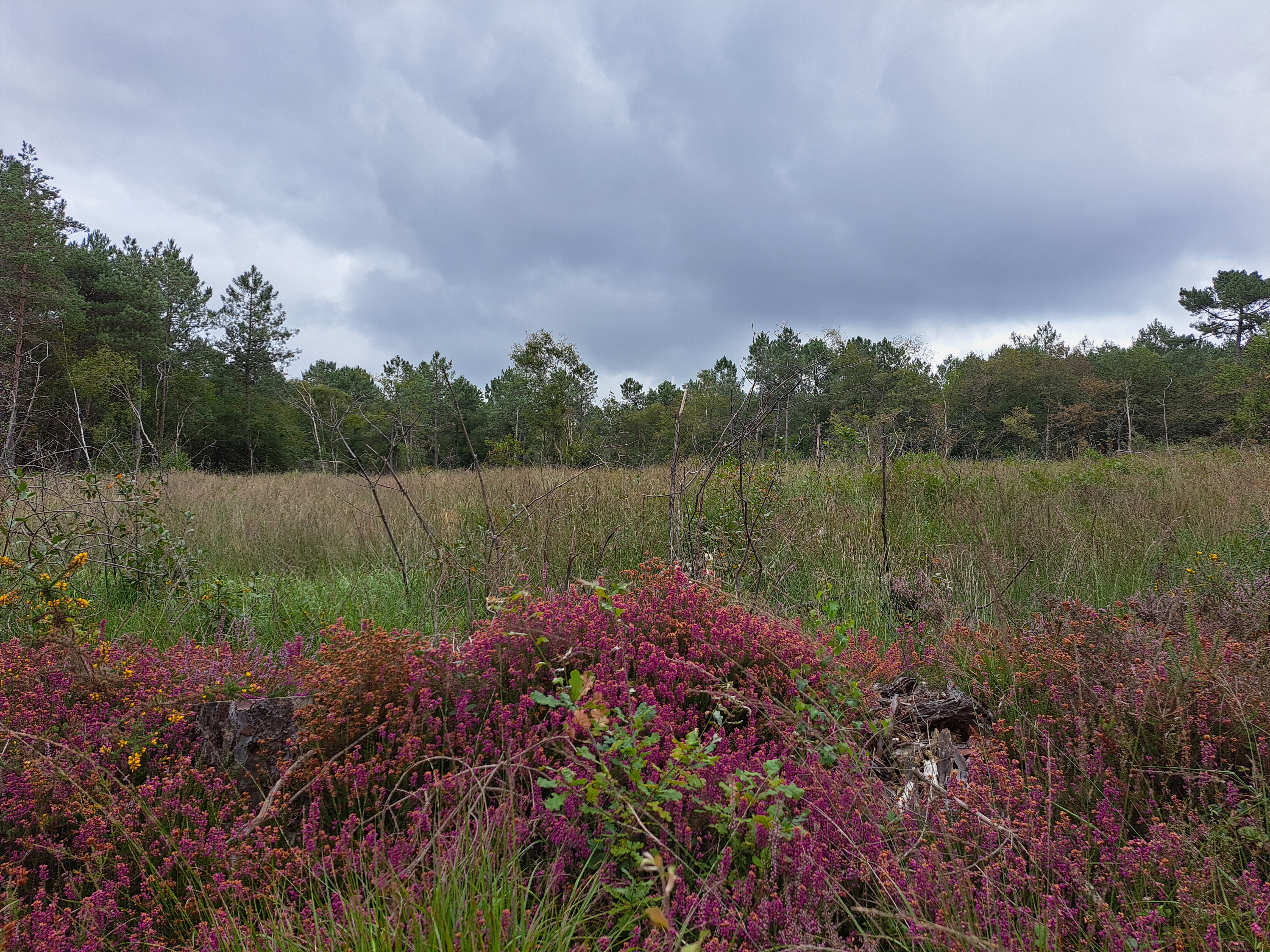 Photo n° 4 de l'avis de Gilles.a fait le 15/08/2023 à 14:02