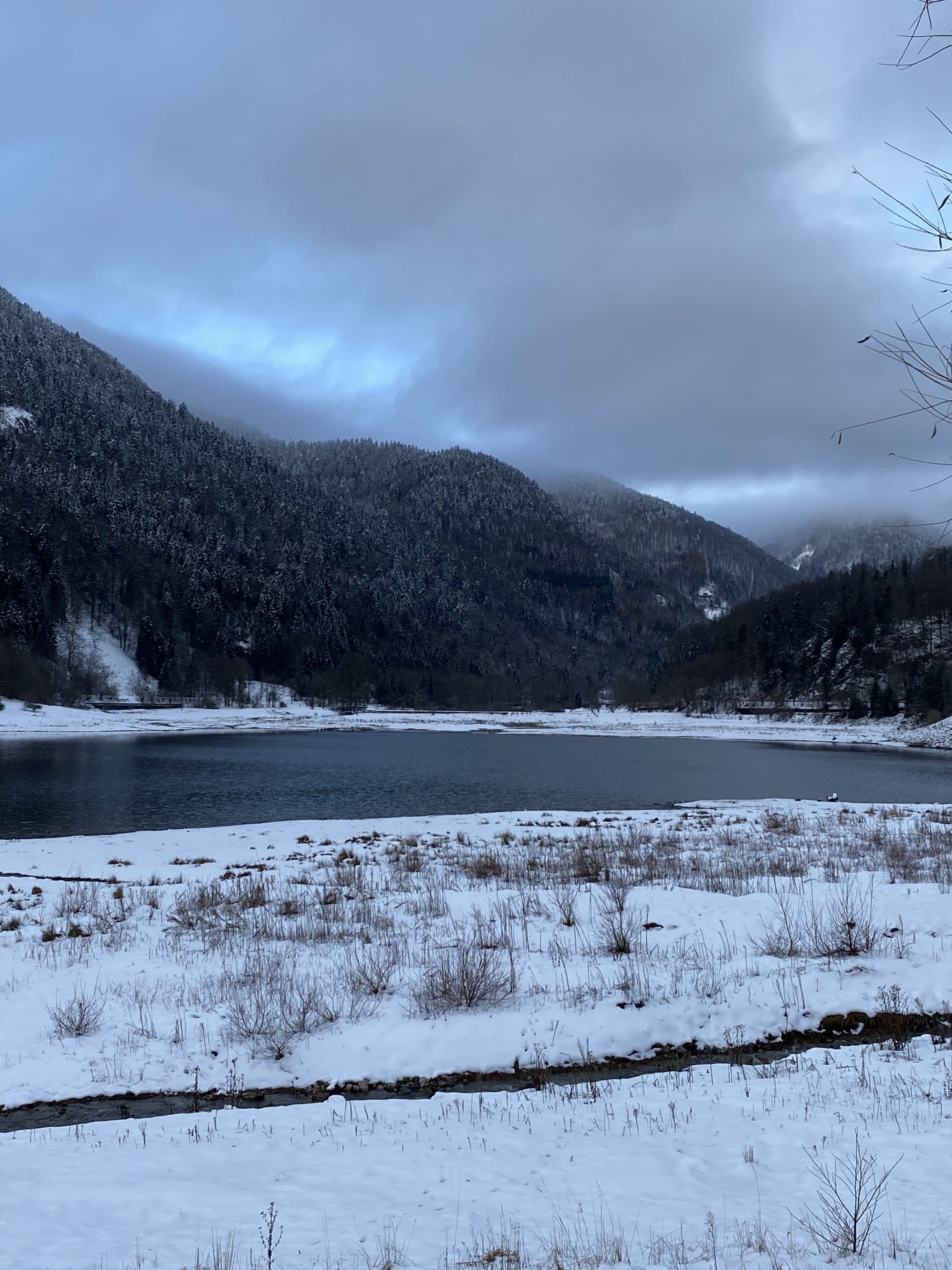Photo n° 1 de l'avis de Kekevra8138. fait le 12/12/2021 à 16:51