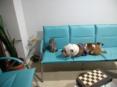 Pet-Way veteriner kliniği