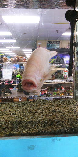 Shopping Mall «Cromwell Field Shopping Center», reviews and photos, 7383 Baltimore Annapolis Blvd, Glen Burnie, MD 21061, USA