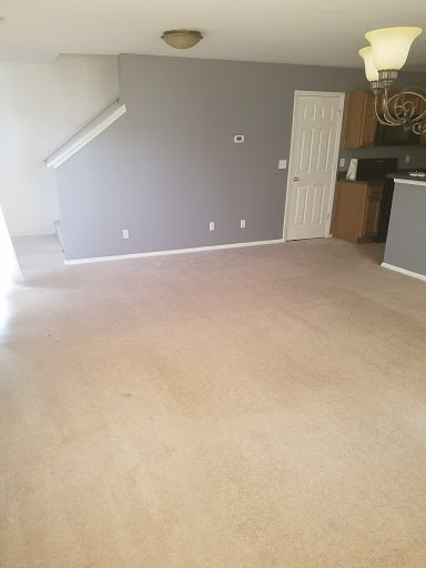 The Stain Pros Carpet Cleaning
