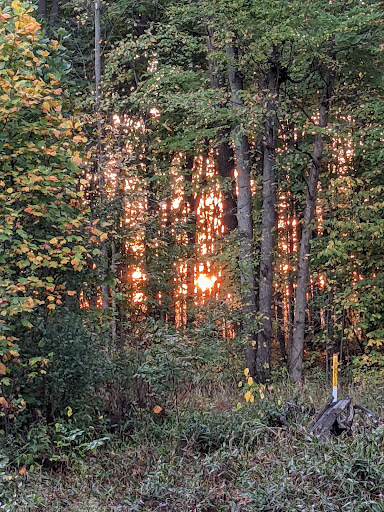 Golf Club «Timberwood Golf Club», reviews and photos, 23700 31 Mile Rd, Ray, MI 48096, USA