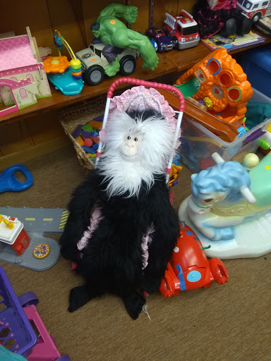 Thrift Store «Lamb Shoppe Haven Thrft Store», reviews and photos, 1765 S Patrick Dr, Indian Harbour Beach, FL 32937, USA