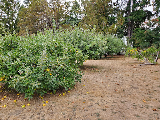 Museum «Philip Foster Farm», reviews and photos, 29912 SE Eagle Creek Rd, Eagle Creek, OR 97022, USA