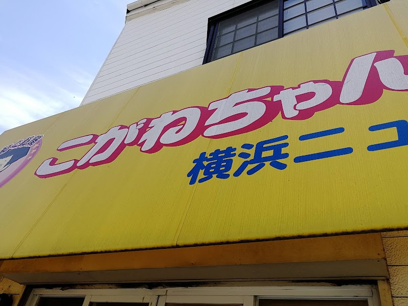 こがねちゃん弁当横浜ニュータウン店