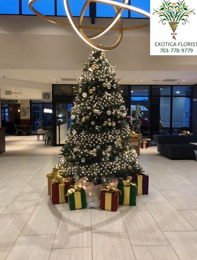 Florist «Exotica Florist», reviews and photos, 10376 Main Street, Fairfax, VA 22030, USA