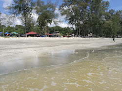 Photo de Jason Bay Beach - endroit populaire parmi les connaisseurs de la détente