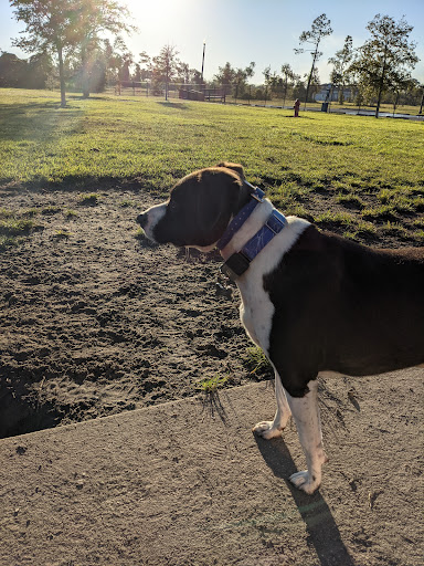 Park «Al Helms Dog Park», reviews and photos, 1022 Balboa Ave, Panama City, FL 32401, USA