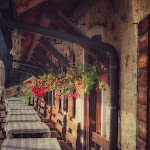 Photo n°1 de l'avis de Marco.p fait le 20/10/2022 à 16:47 sur le  Malga Crel à Siror