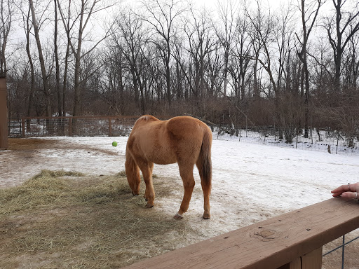 Wildlife Refuge «Big Run Wolf Ranch», reviews and photos, 14857 N Farrell Rd, Lockport, IL 60441, USA