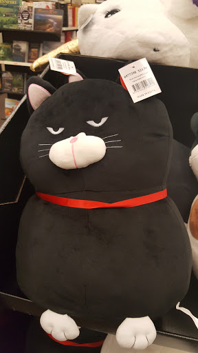 Book Store «Books-A-Million», reviews and photos, 2626 E Stone Dr, Kingsport, TN 37660, USA