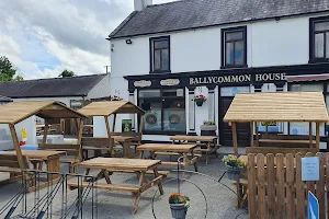 Ballycommon Bake House & Ballycommon House self catering apartments image