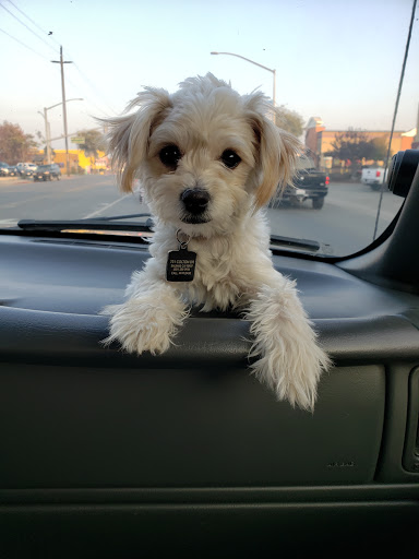 Animal Feed Store «Collier Feed & Pet Supply», reviews and photos, 101 W Laurel Dr, Salinas, CA 93906, USA