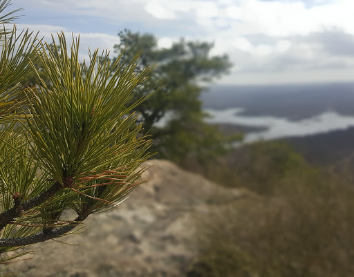 Nature Preserve «The New Weis Center for Education, Arts & Recreation», reviews and photos, 150 Snake Den Rd, Ringwood, NJ 07456, USA