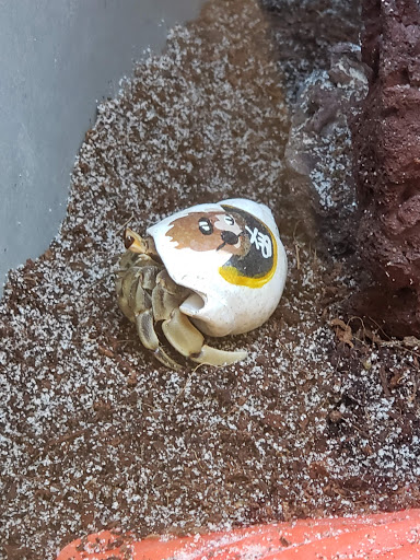 Pet Supply Store «Petco Animal Supplies», reviews and photos, 244 Pioneer Trail, Chaska, MN 55318, USA