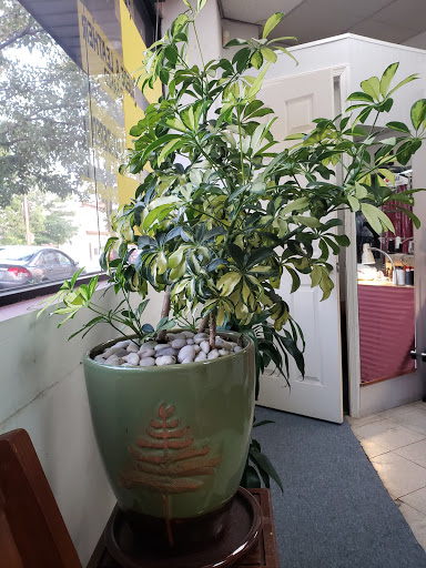 Dry Cleaner «Happy Cleaners», reviews and photos, 332 Paterson Ave, East Rutherford, NJ 07073, USA