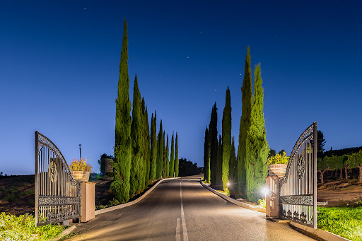 Mount Palomar Winery image