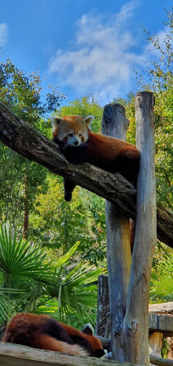 Photo n° 7 de l'avis de Jean.a fait le 18/05/2023 à 12:05