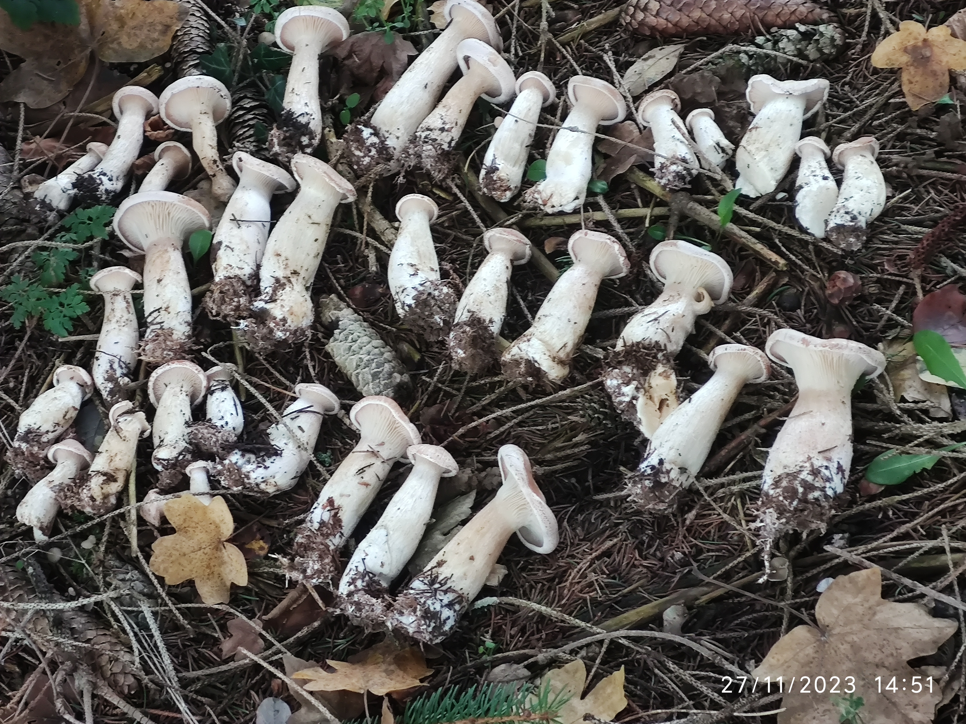 Photo n° 5 de l'avis de Patrick.i fait le 12/12/2023 à 10:07