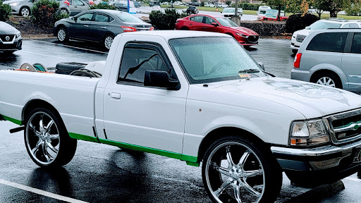 GorillaGator Shine en Lenoir City