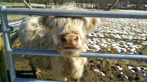 Gourmet Grocery Store «Highland Gourmet», reviews and photos, 343 County Road 519, Stockton, NJ 08559, USA