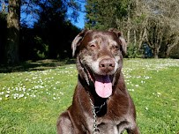 Eat Play Poop Professional Pet Sitting - Photo 5 - Car repair in , Portland